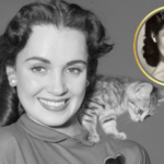 Susan Cabot Net Worth